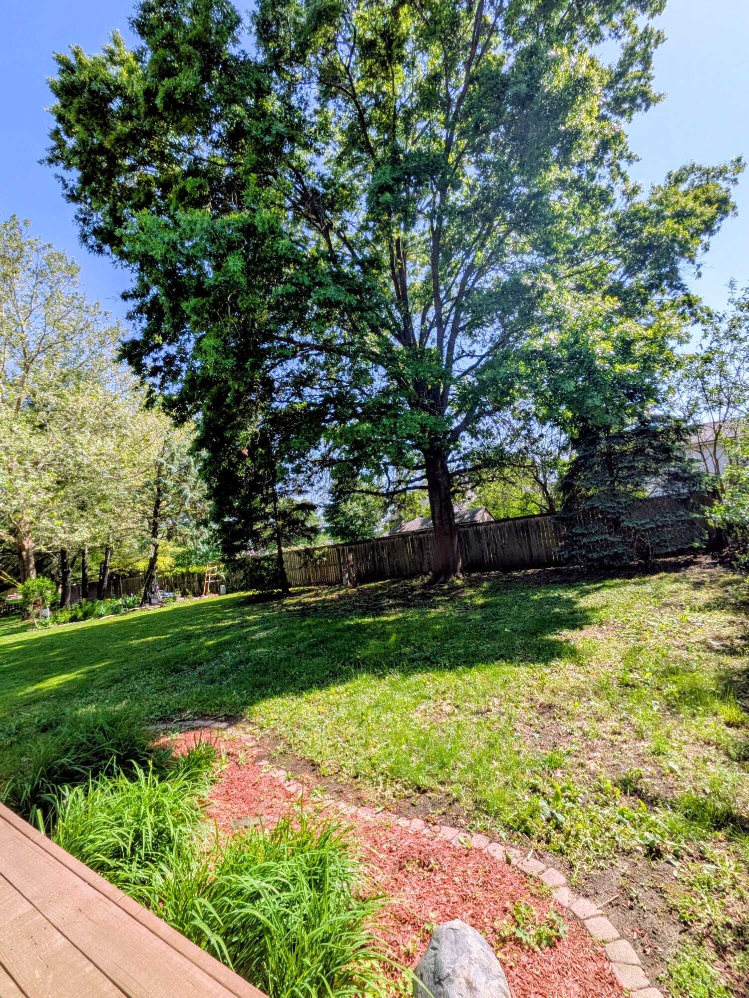 Building Photo - 515 Clearwater Dr