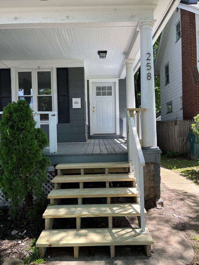 Building Photo - 256-258-258 Woodbine Ave