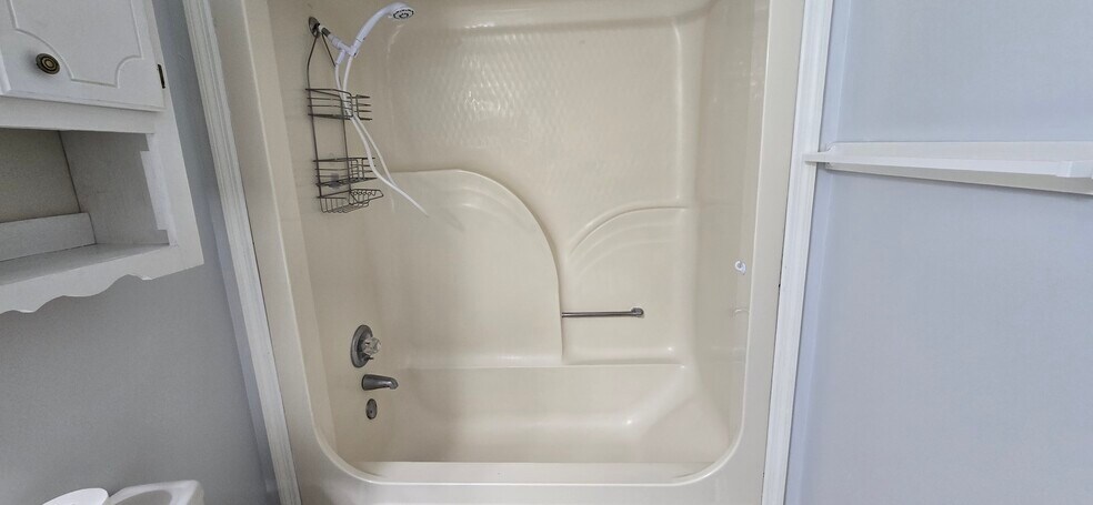 new hand shower and caddy - 103 N Roosevelt St