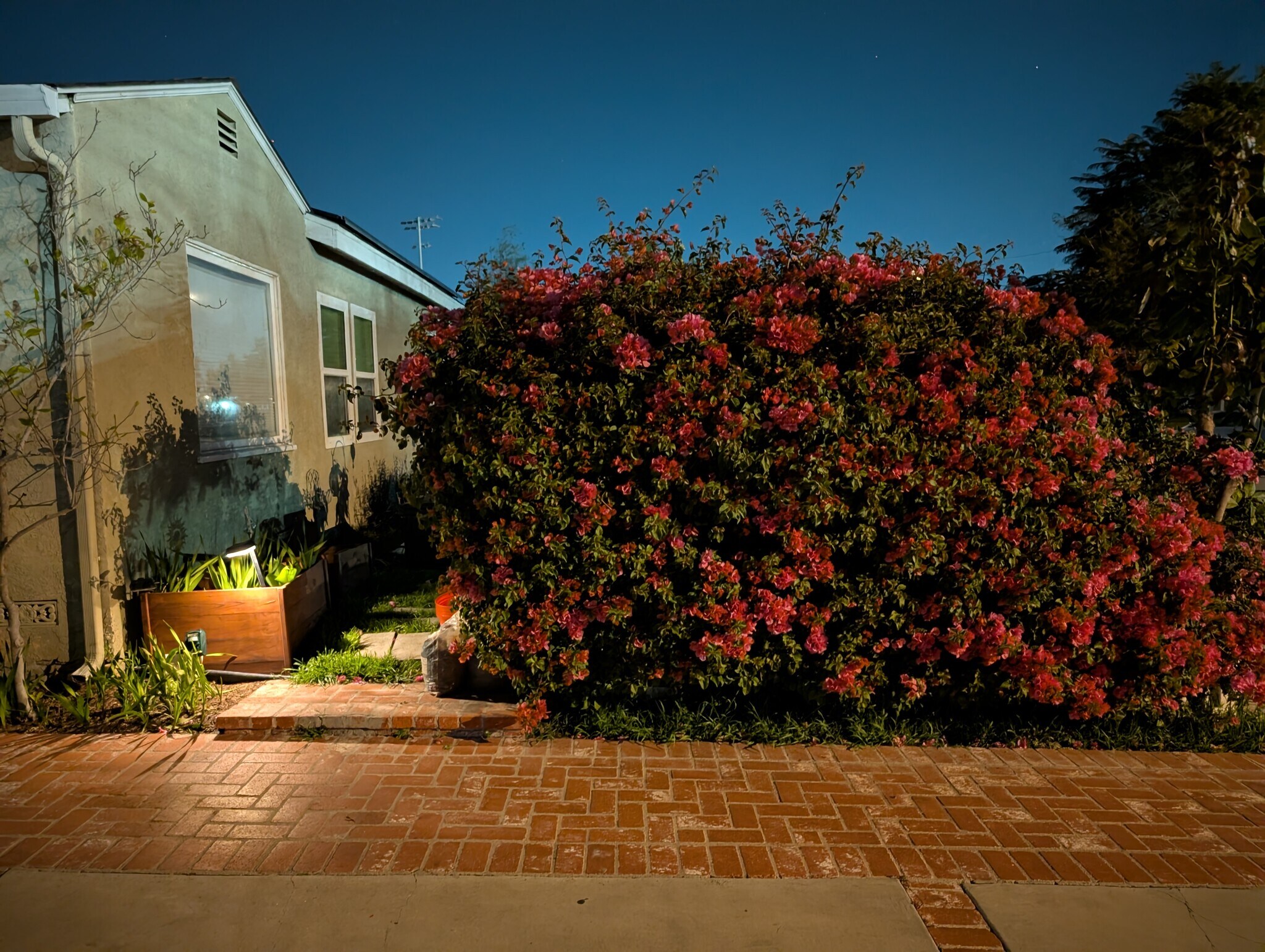 Building Photo - 5011 Stacy St