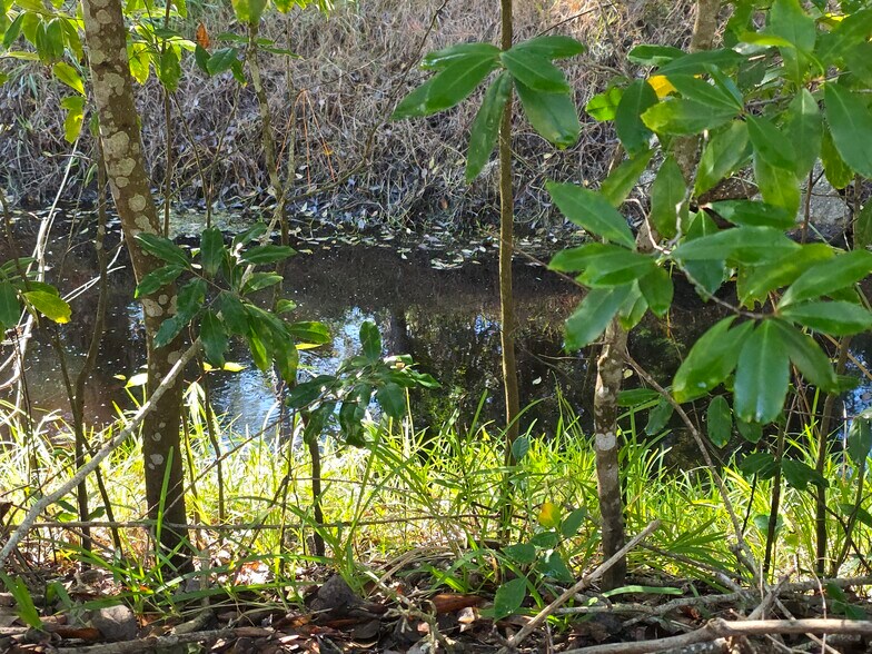 Building Photo - 1601 Big Tree Rd