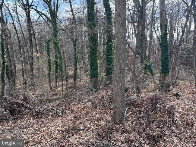 Building Photo - 1 Punte Ln