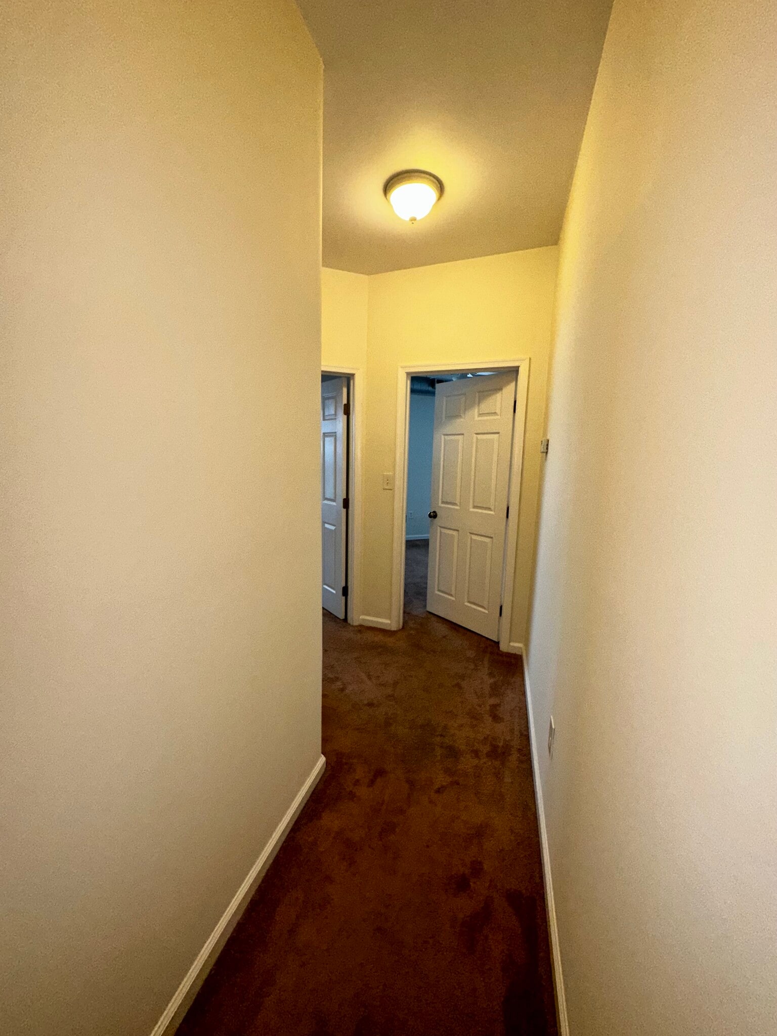 Hallway to bedroom - 1733 Ridge Ave