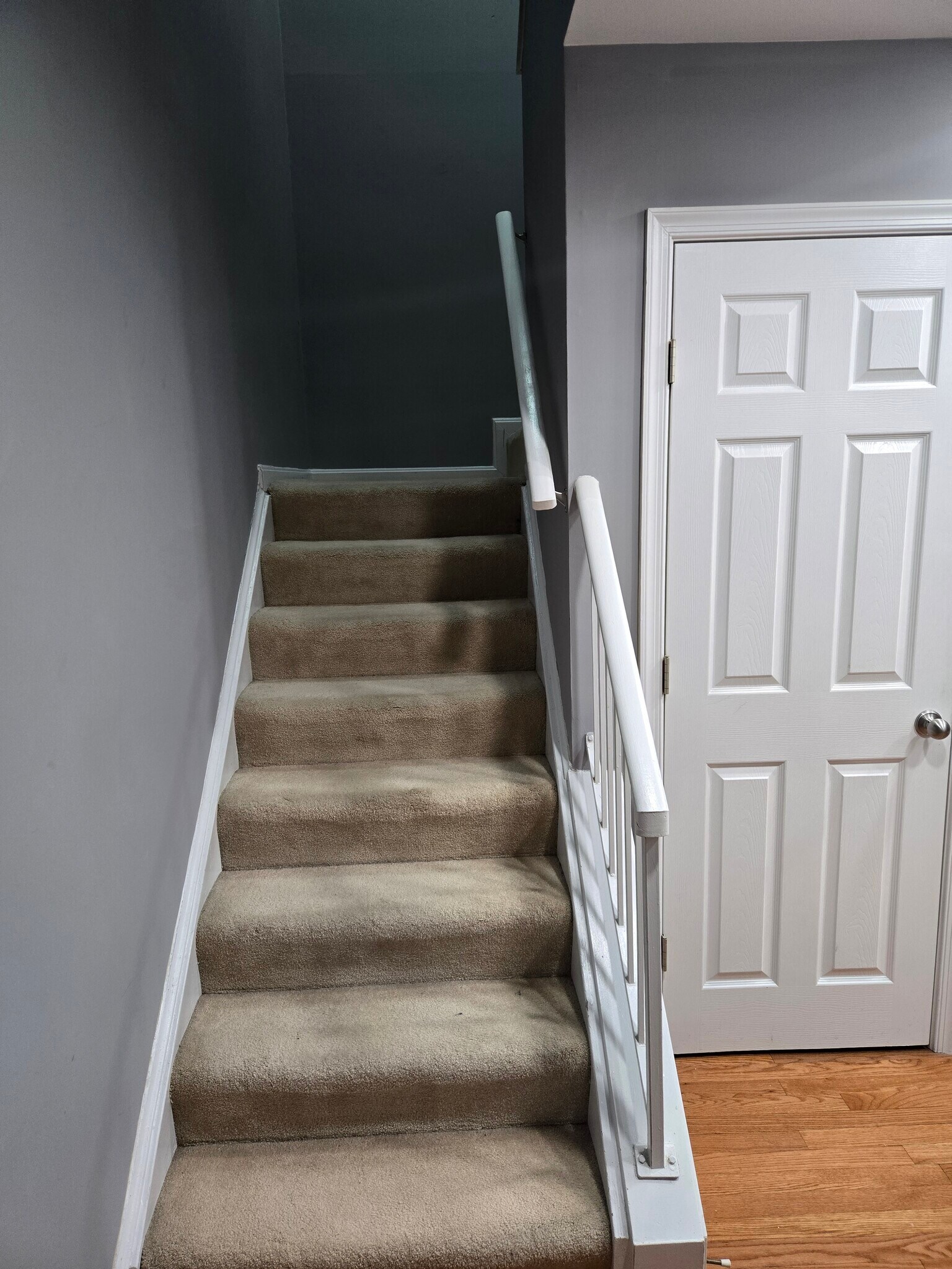 Building Photo - 9240 Cardinal Forest Ln