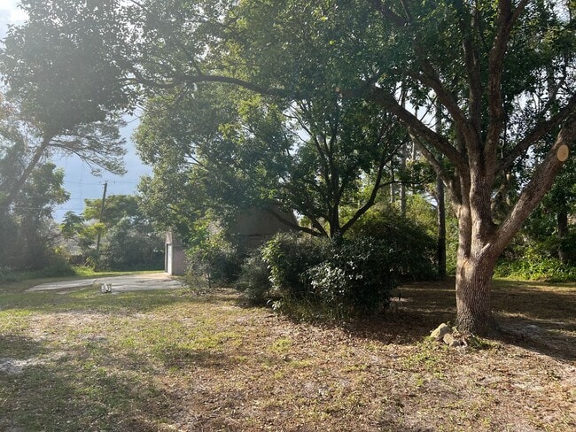 Building Photo - Beautiful 3 Bed/2 Bath Single Family Home In Deltona!!