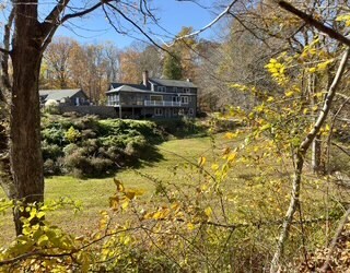 wooded back of home - 82 Goose Hill Rd
