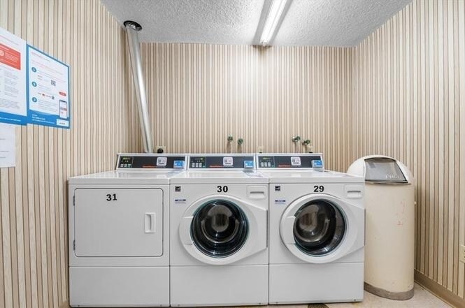 Laundry - 1004 Paradise Rd