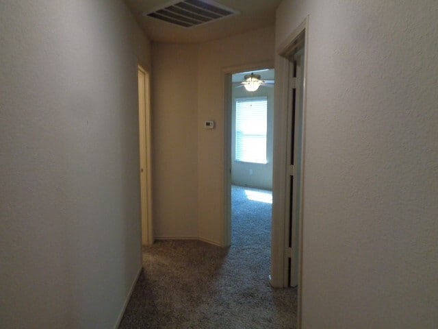 Building Photo - 23314 Brat Pass Dr