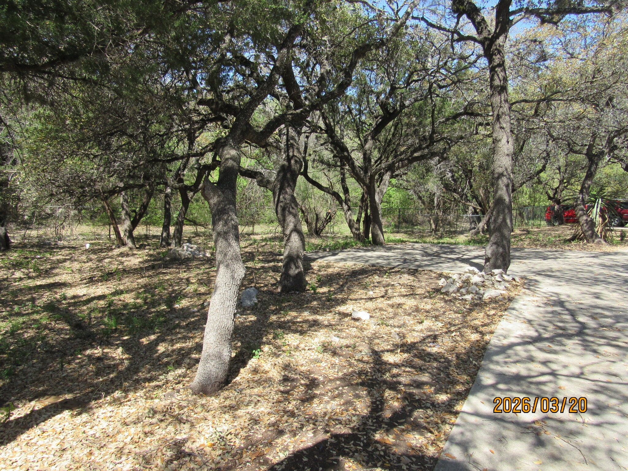 Rear of Property - 13815 Parksite Woods