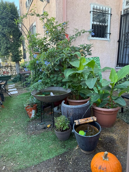 Building Photo - 1781 Orchid Ave