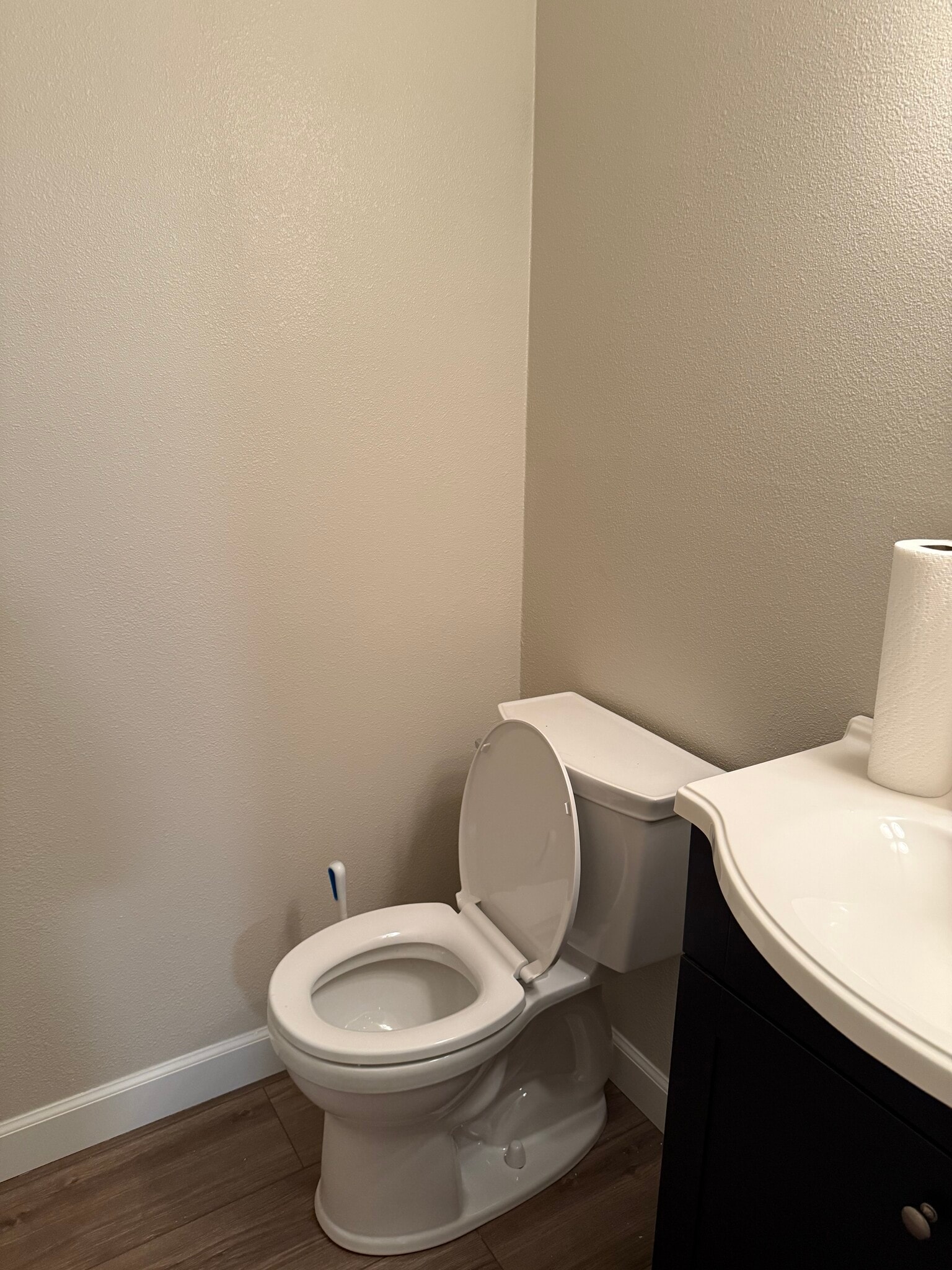 Powder room - 1017 S Fraser Way