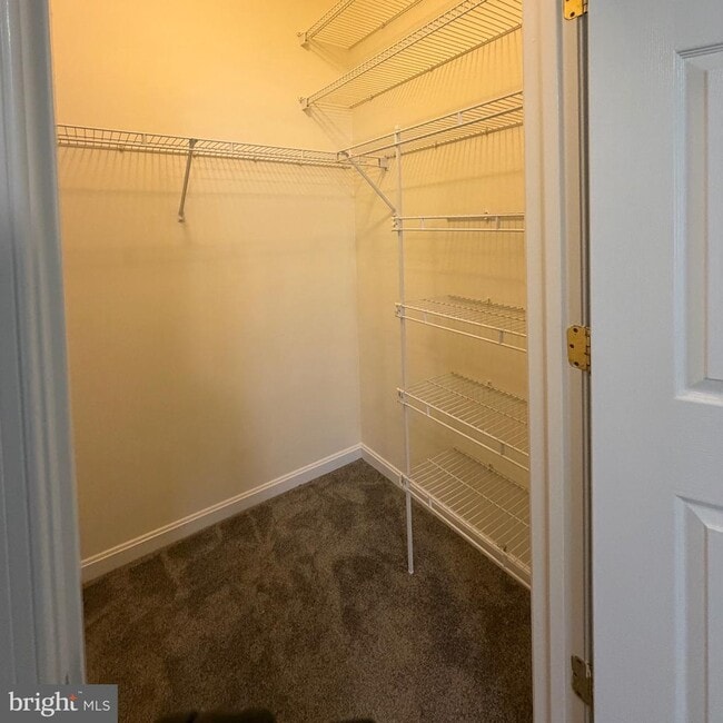 Building Photo - 20453 Chesapeake Square