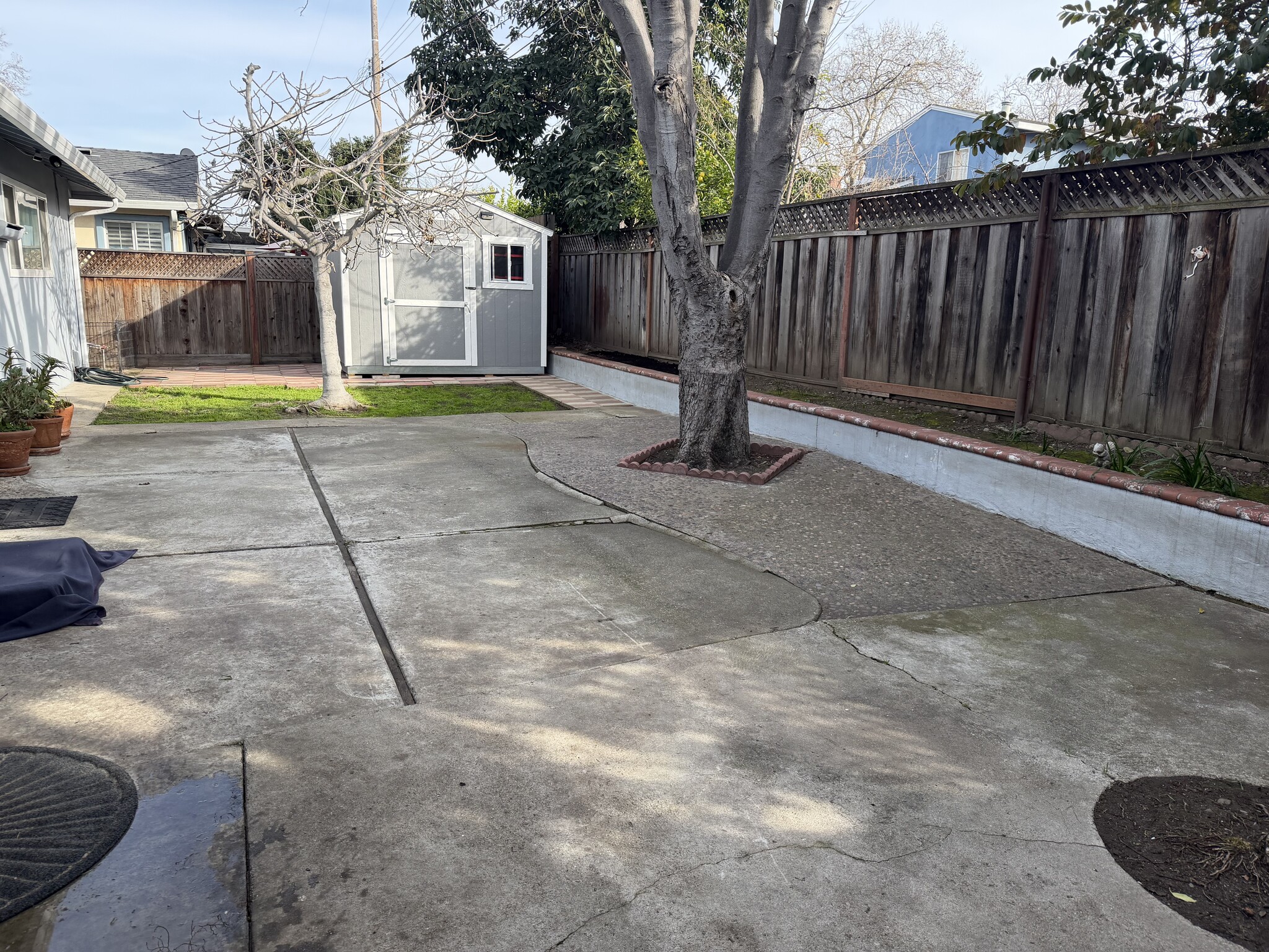 Backyard - 2158 Cabrillo Ave