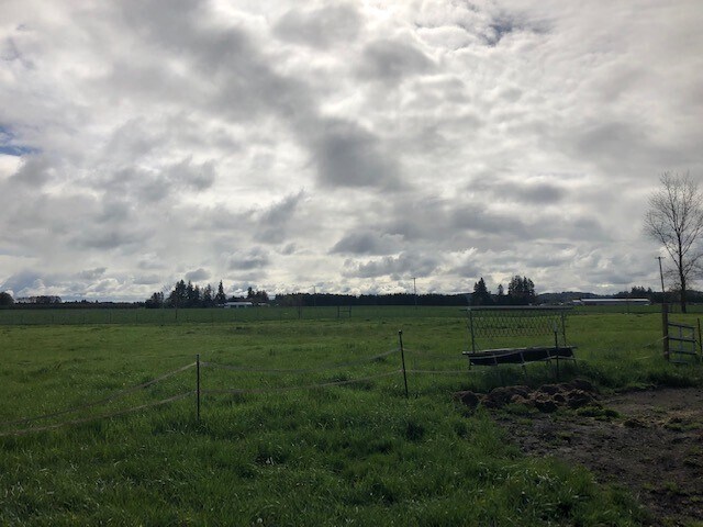 Building Photo - Newly Renovated 3 bed, 1.5 bath on Acreage...