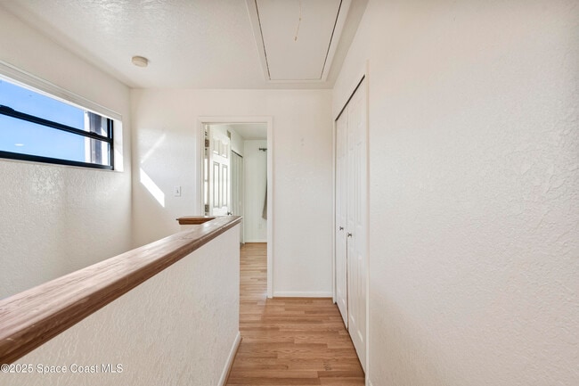 Building Photo - 142 Palmetto Ave