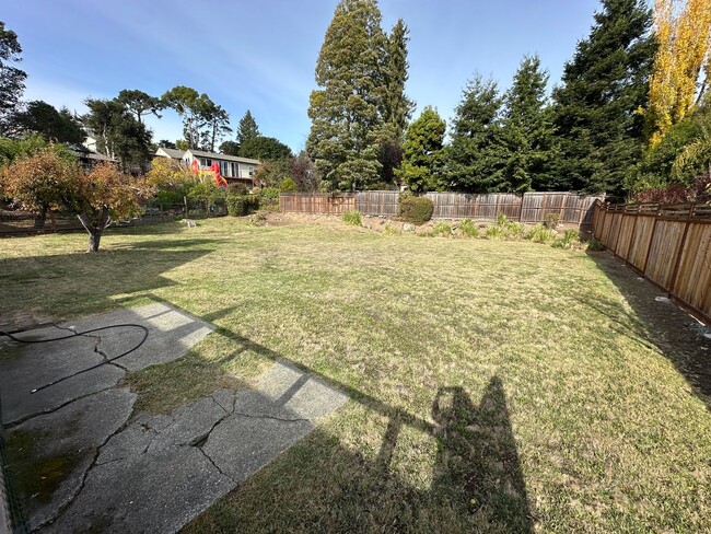 Building Photo - Charming Strawberry/Mill Valley Home w/Lar...