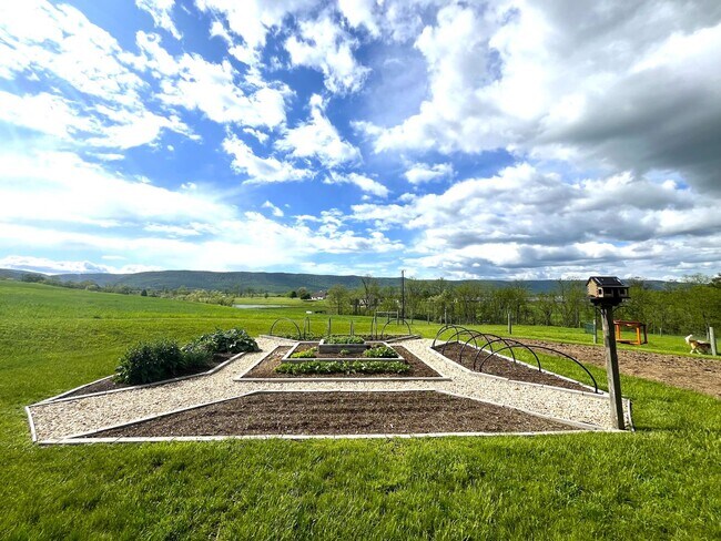 Building Photo - Spacious 4BR/3.5BA Single Family Home on 2...