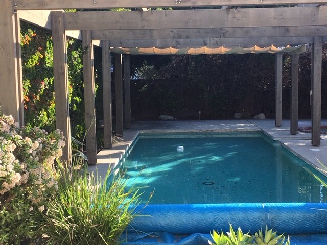 Pool with architectural trellis. - 862 Allen Ave
