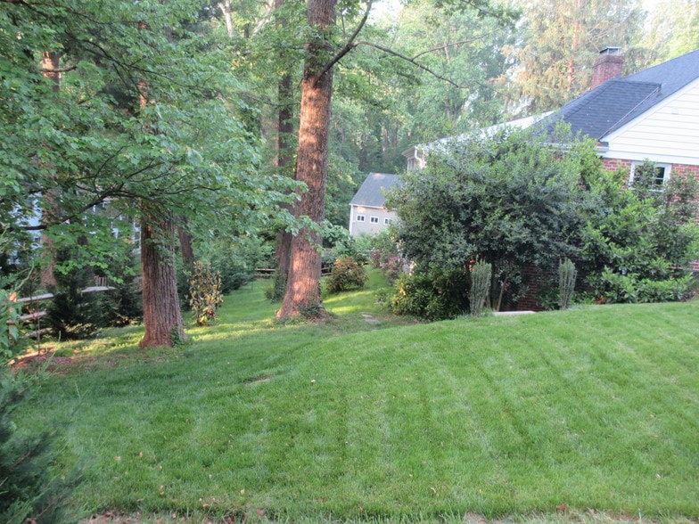 Yard - 104 Buckingham Rd