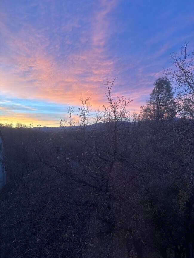 Building Photo - 16060 39th Ave