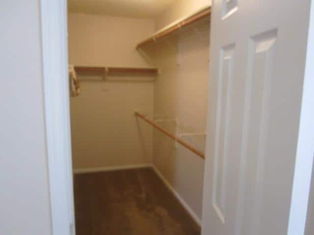 Building Photo - 5005 Boxwood Ln