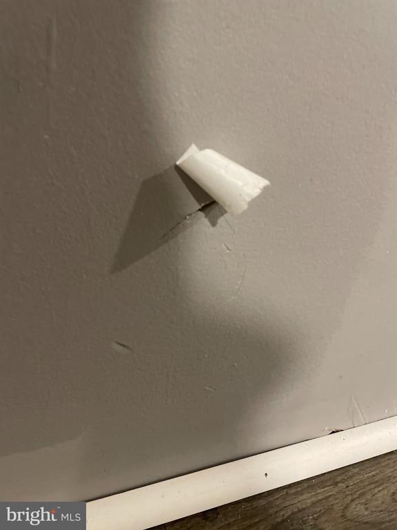 Building Photo - 2310 Sulgrave Ave