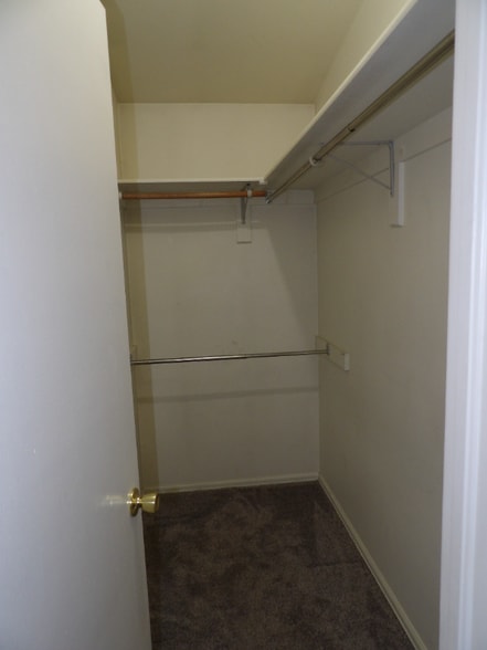 Building Photo - 4702 Witches Hollow Ln