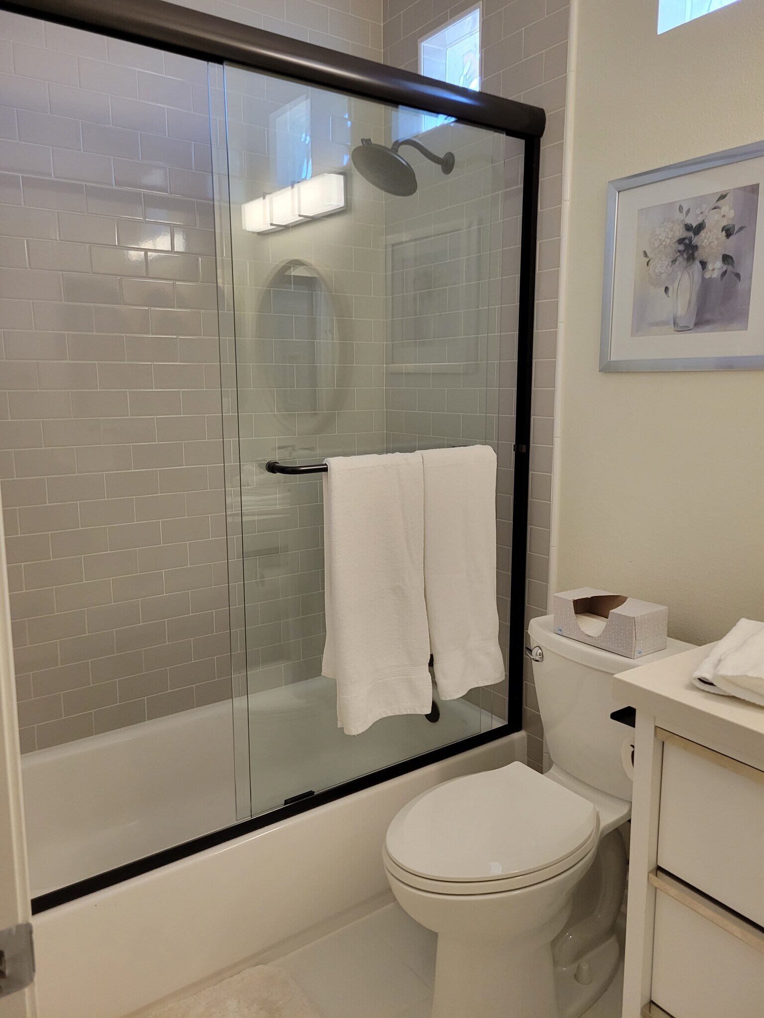 Guest Bath - 6900 E Princess Dr