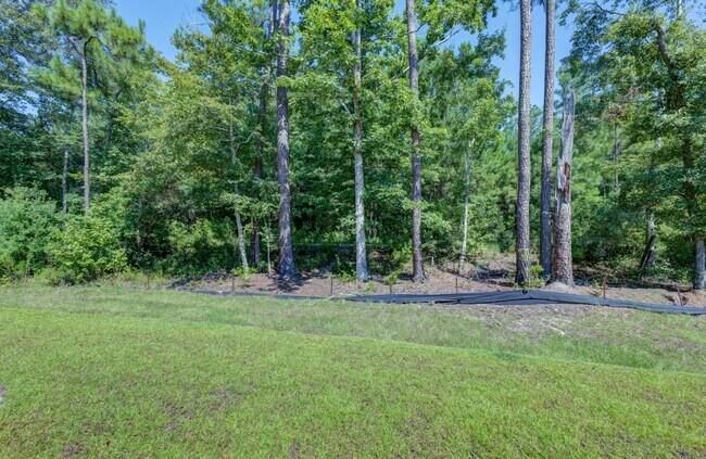 Building Photo - 104 Sweet Cherry Ln