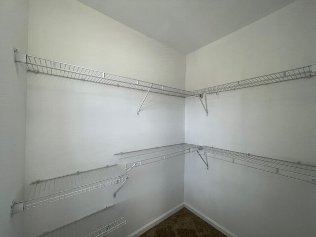 Building Photo - 927 Spring Harvest Ct