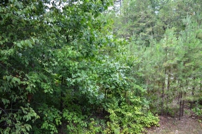 Building Photo - Cortez Courts | Townhome| Unfurnished