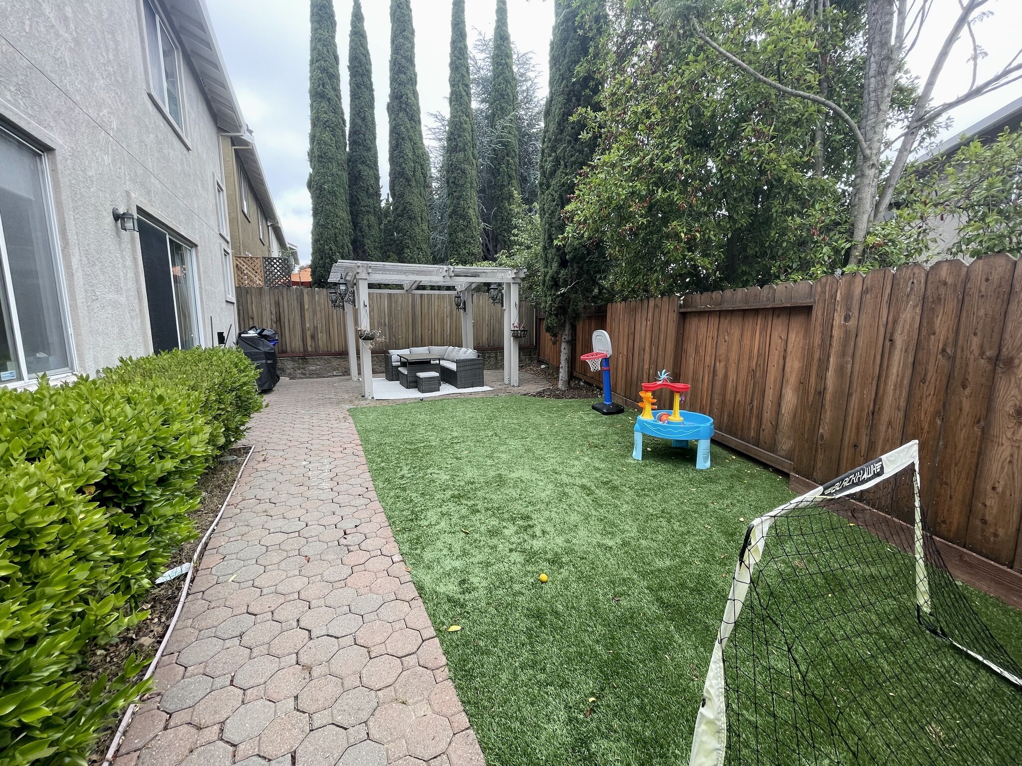 Artificial Turf in Backyard - 25521 Conley Downs Dr