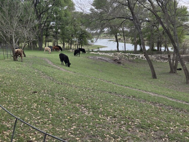 Building Photo - 2403 Bottoms East Rd