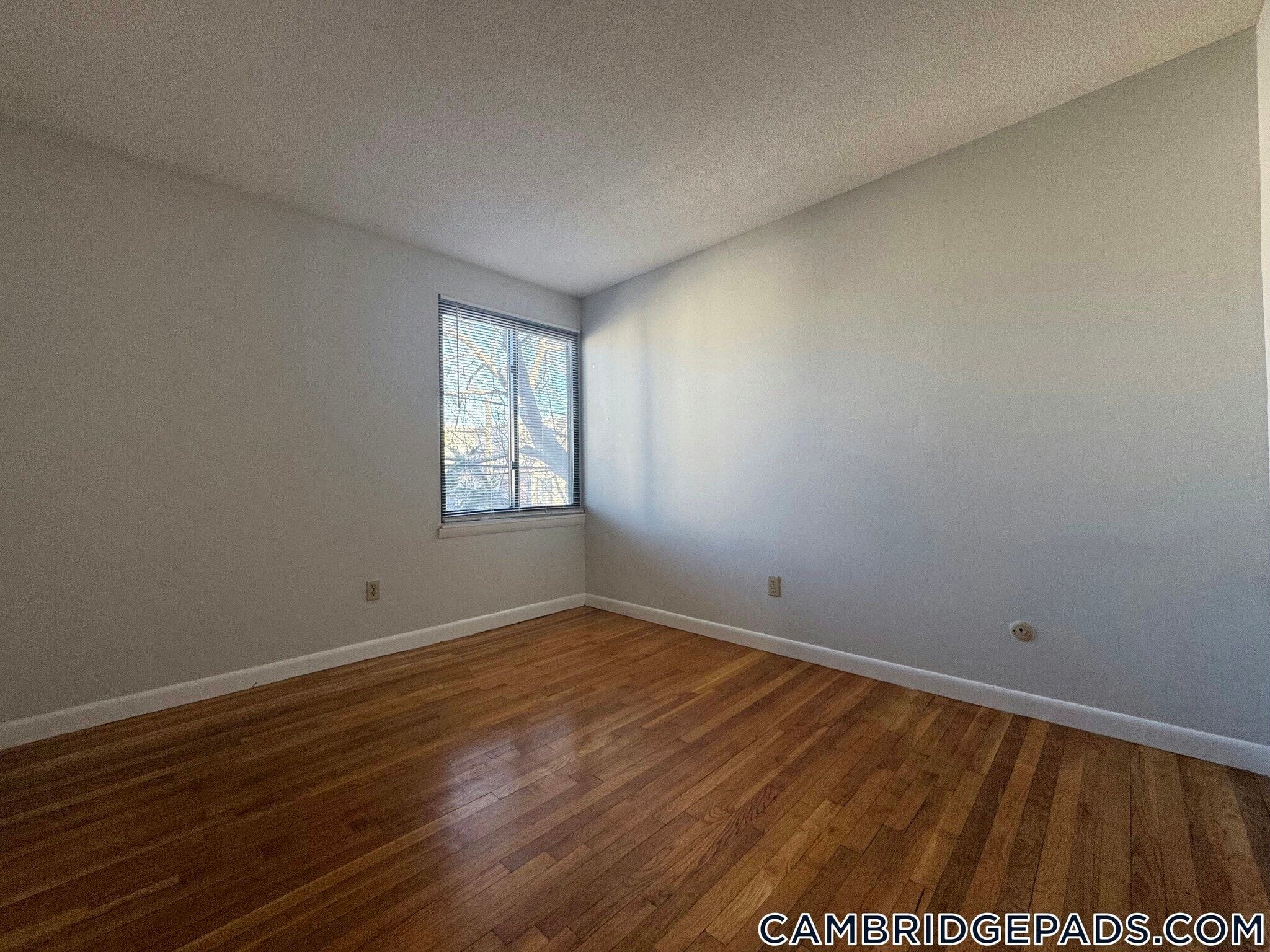 Building Photo - 20 Hubbard Ave