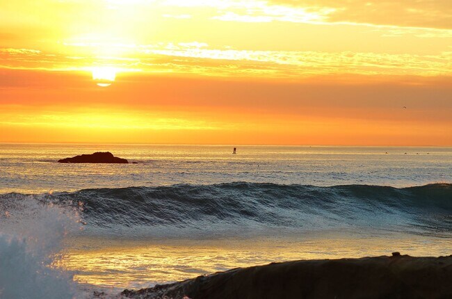 Building Photo - Exquisite beach home with Ocean and Harbor activities abound!