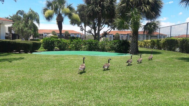 Building Photo - Seasonal/short term only 2/2 ground floor condo downtown Sarasota at Villagio!