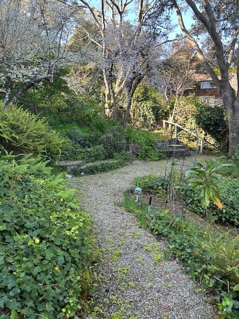 Building Photo - 77 Mirabel Ave