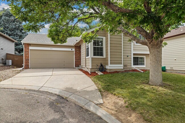 Building Photo - Beautiful 3 bed 2 bath Highlands Ranch Home!