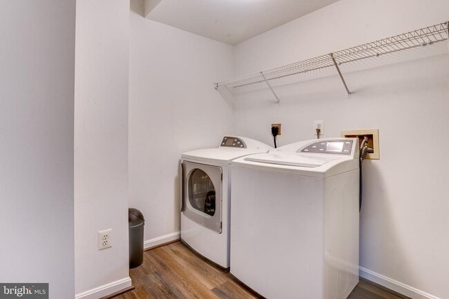 Building Photo - 4307 Chariot Ct