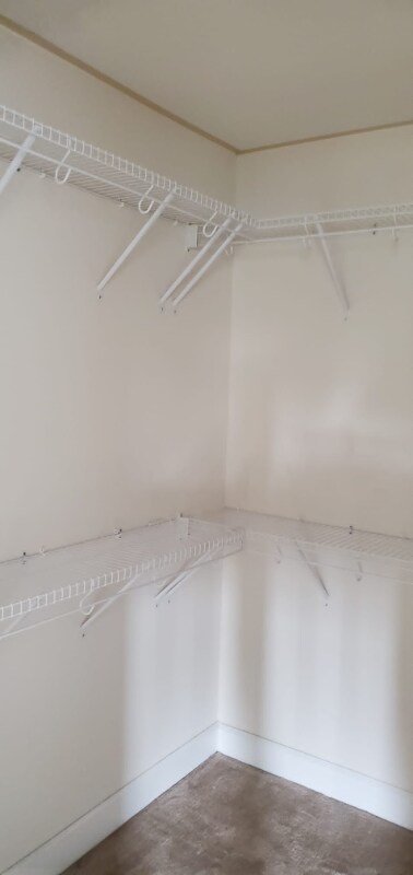 Building Photo - 8478 Craggan Ln