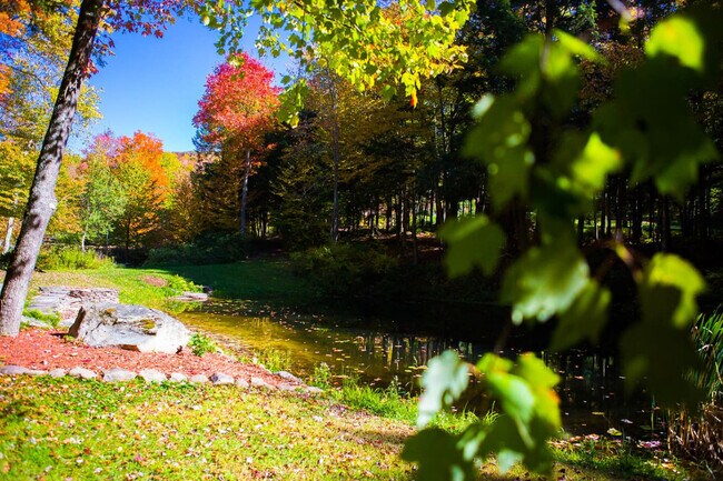 Building Photo - 525 Townsand Hollow Rd