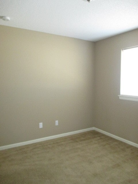 Building Photo - 909 Whitetail Ct
