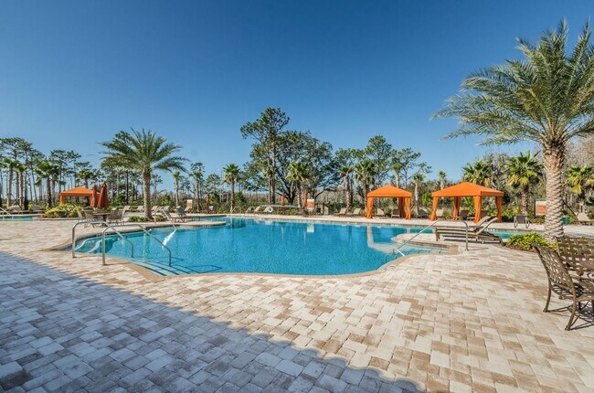 Building Photo - Beautiful Pool home in Starkey Ranch avail...