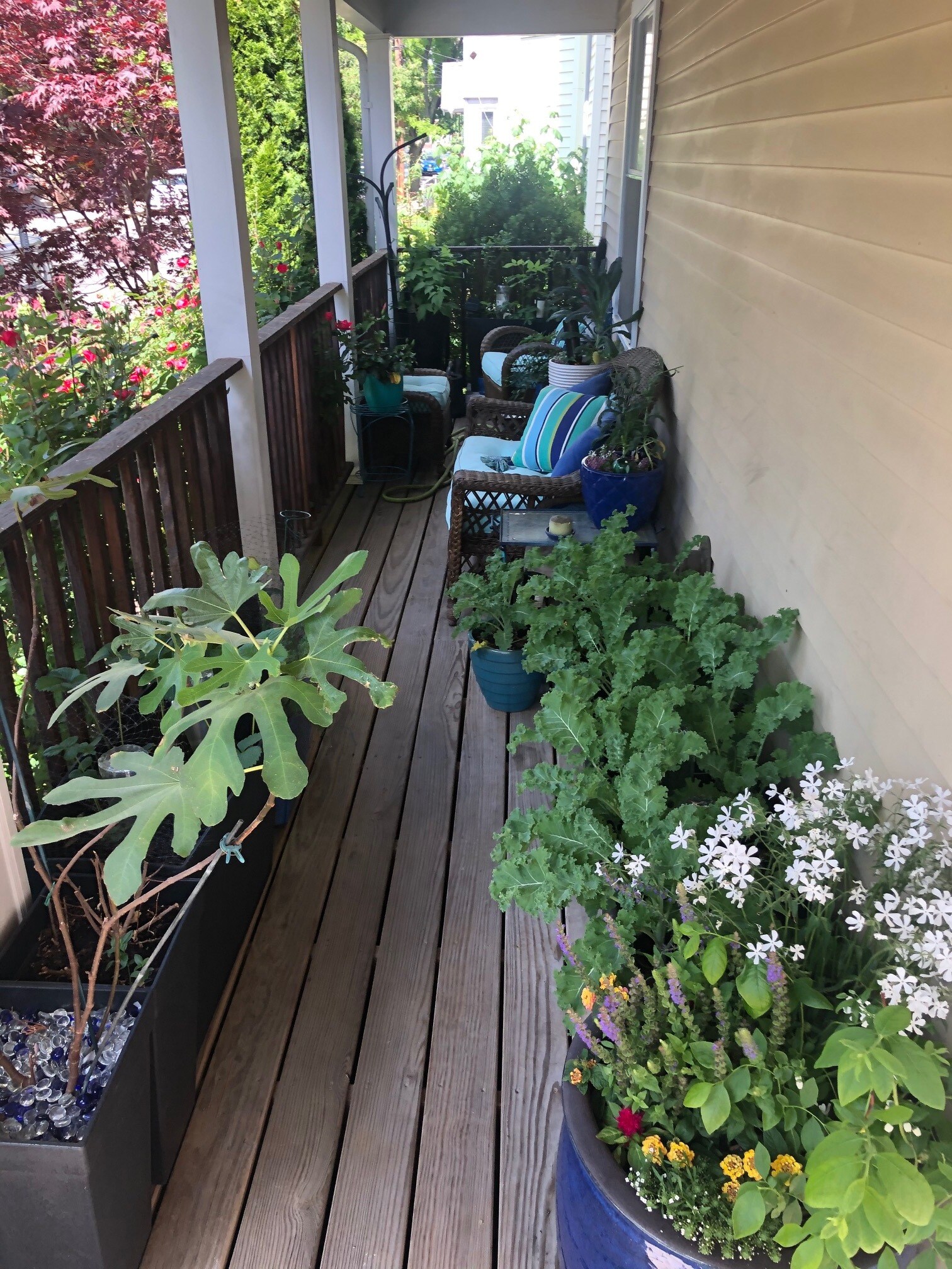 Private Front Deck Space - 147 Hudson St