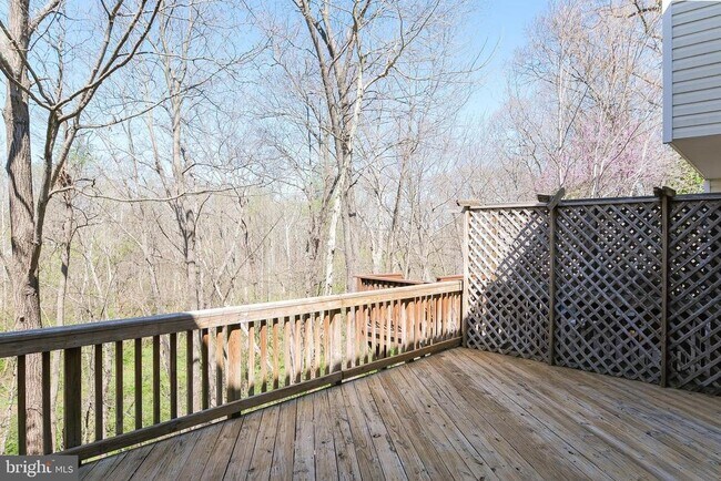 Building Photo - 20717 Waterfall Branch Terrace