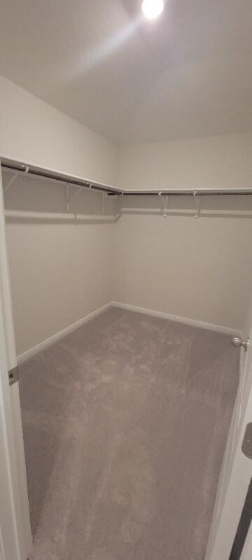 Building Photo - 1231 Meyers Mdw