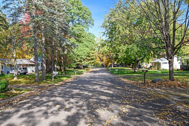 Building Photo - 1524 Aquila Ave N