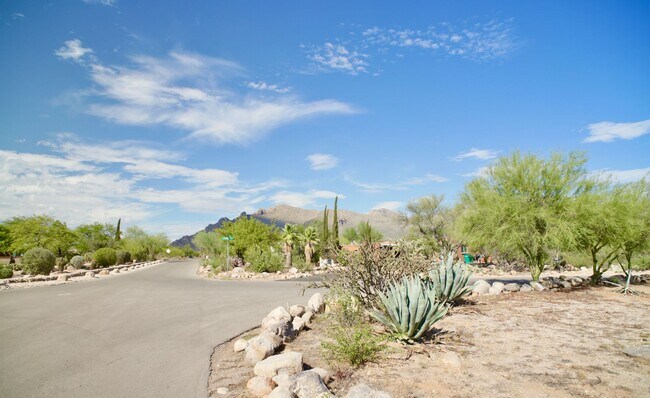 Building Photo - 4 Bedroom Furnished in Catalina Foothills ...