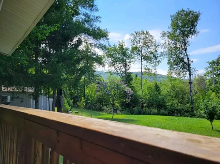 View From Porch - 172 Toles Hollow Rd