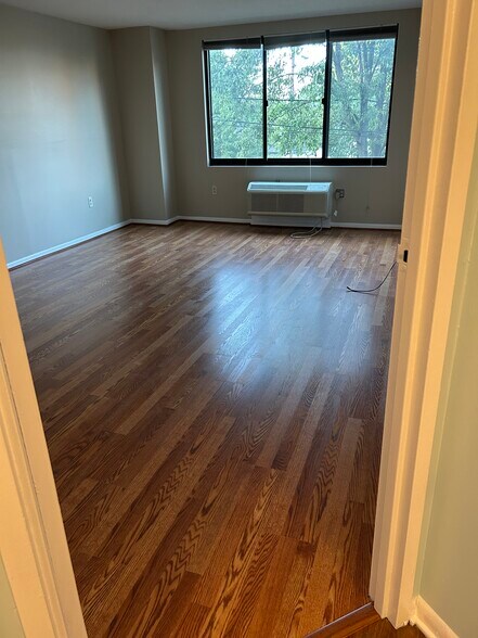 Master bedroom, 350 sq ft with energy efficient new heat/ac unit - 115 Polifly Rd